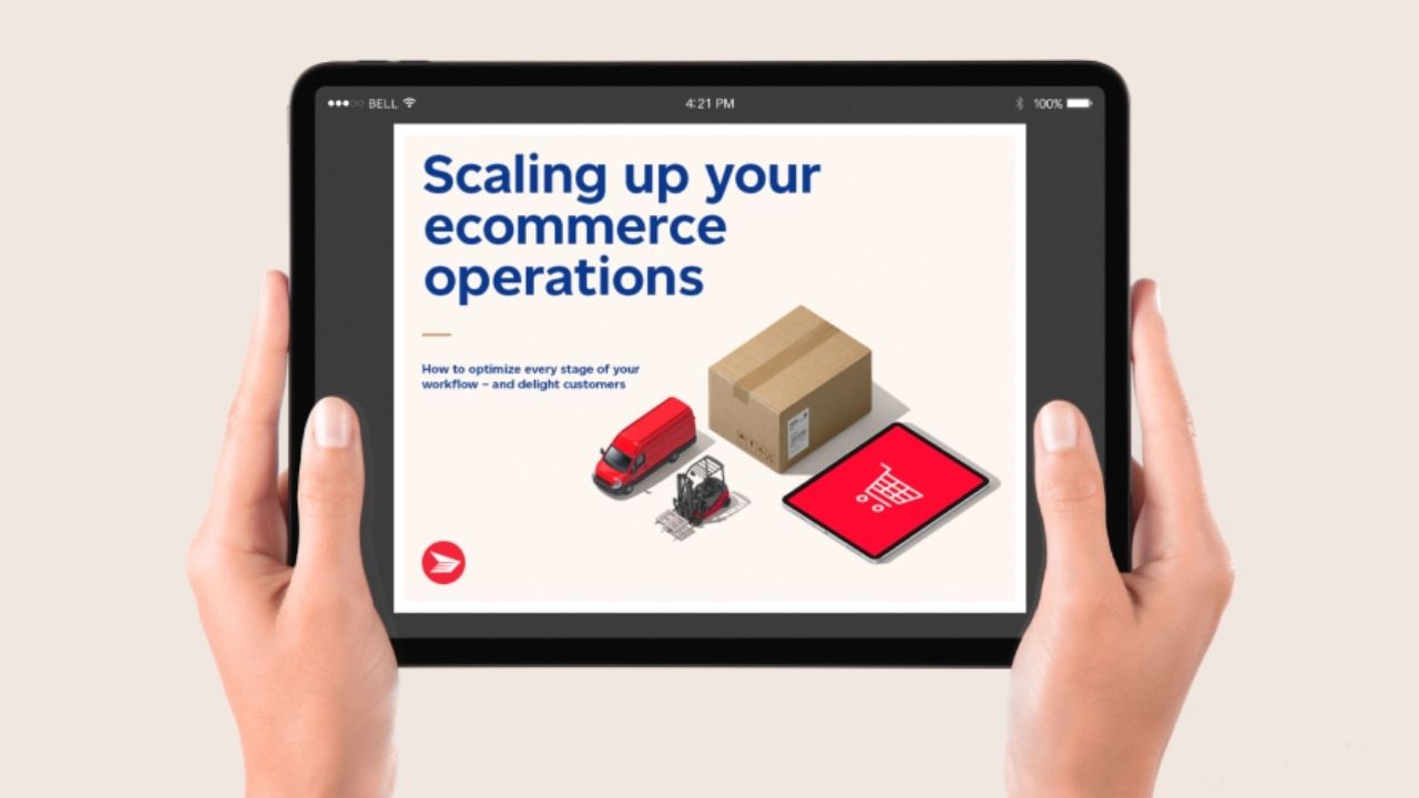 ShippingLogistics 3