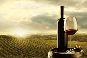Wine 1